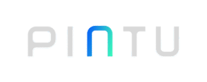 logo pintu
